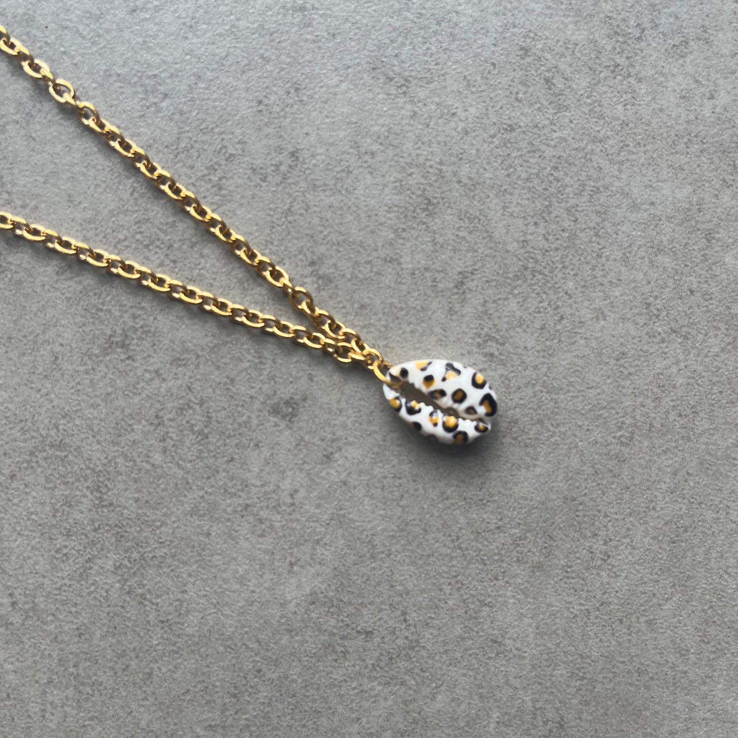 Collier cauri  – Collier coquillage chaine acier inoxydable doré